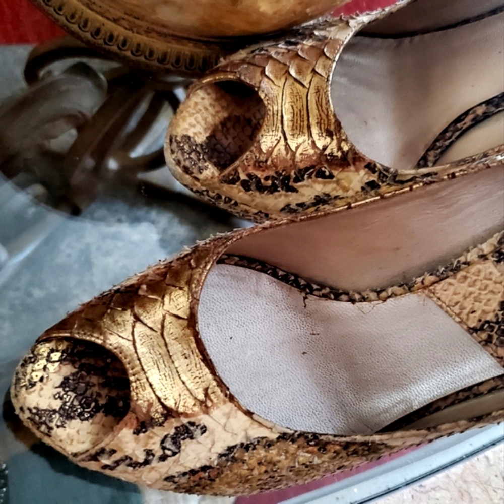 🔥Christian Dior Python Snakeskin Pumps - Picture 3 of 17